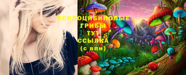 гашиш Абаза
