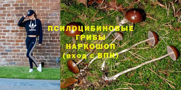 гашиш Абаза