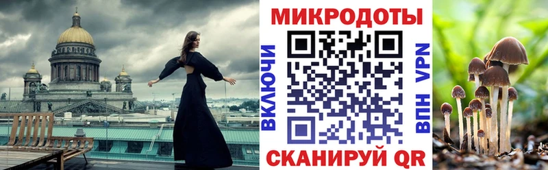 Галлюциногенные грибы Magic Shrooms  закладка  Лосино-Петровский 