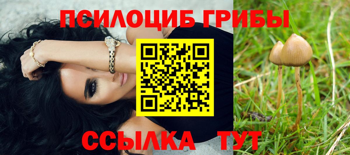 Галлюциногенные грибы мицелий Лосино-Петровский