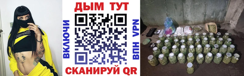 цены   Лосино-Петровский  Каннабис индика 